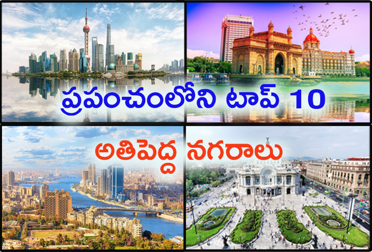 city-cover-page.jpg 1