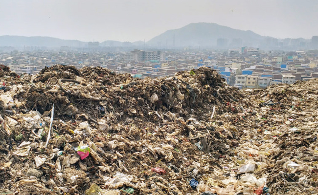 8.Deonar_20_28Mumbai_2C_20India_29_20-_20326_20Acres.jpg 9