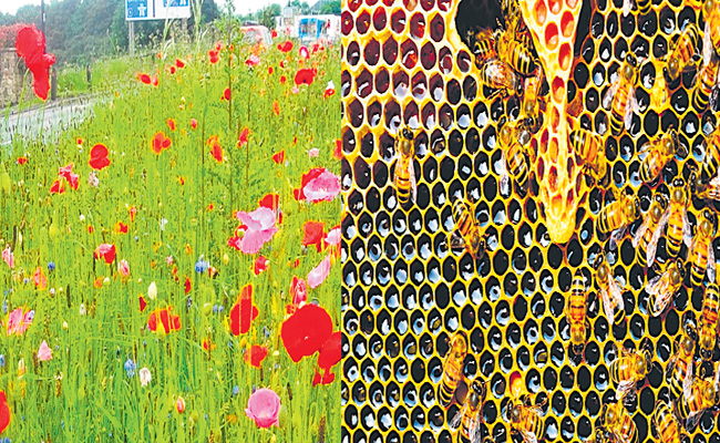 honeybees.jpg