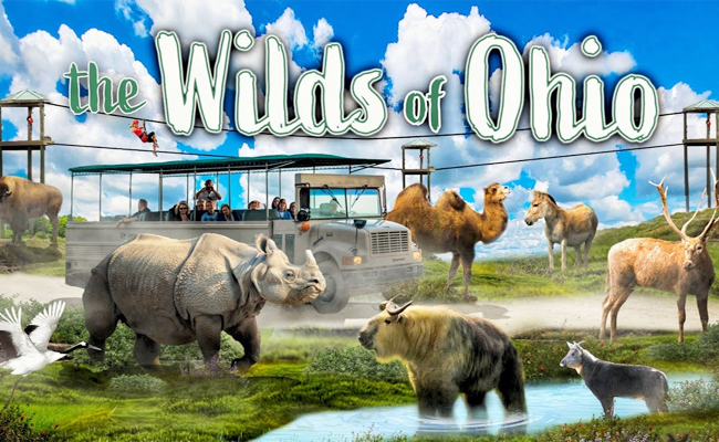 1._20The_20Wilds_20Safari_20Park_20Cumberland_2C_20Ohio_0.jpg 2