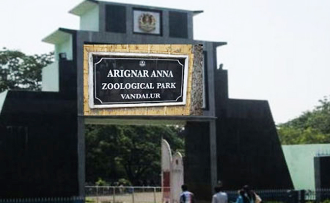 6Arignar_20Anna_20Zoological_20Park_20India_0.jpg 7