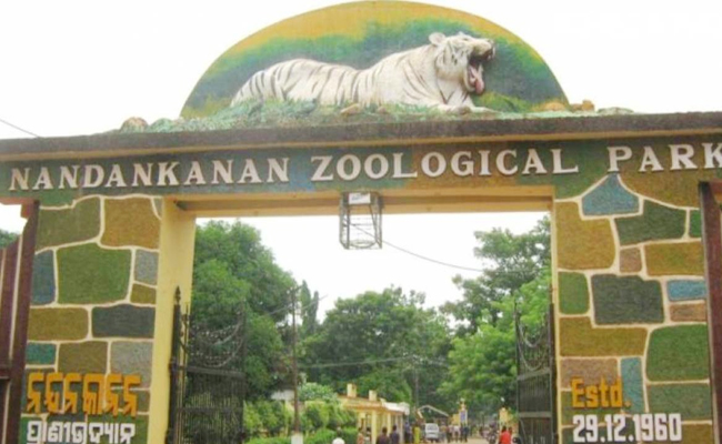 7_20Nandankanan_20Zoological_20Park_20India_0.jpg 8