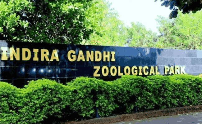 9_20Indira_20Gandhi_20Zoological_20Park_20India_0.jpg 10