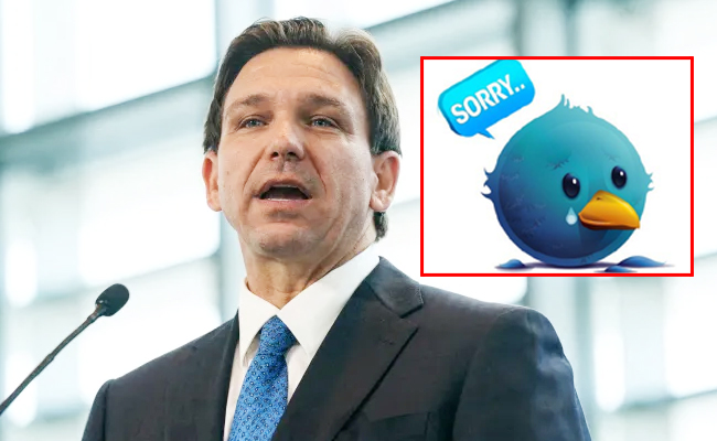 Elon_Musk_Twitter_Crash_Flo.jpg