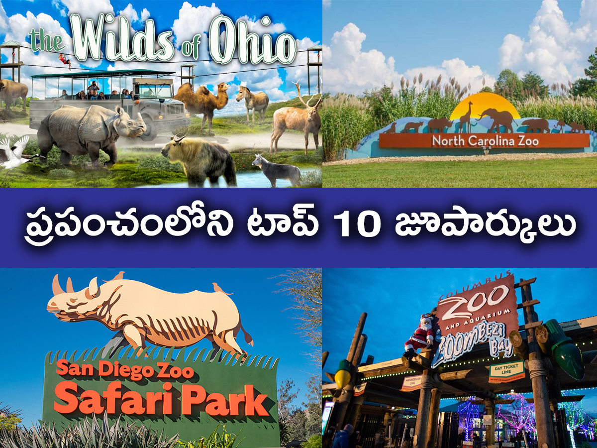 zooparks_1200x900.jpg 1