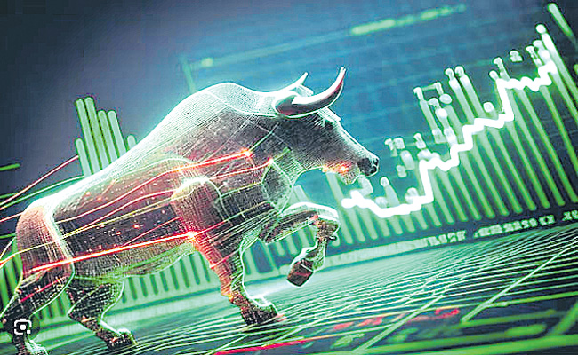 BULL.jpg