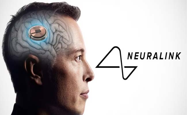 Brainchip_neuralink.jpg