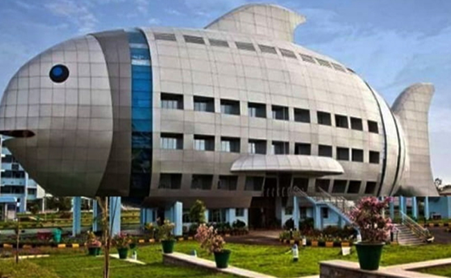 National_20Fisheries_20Development_20Board.jpg 6