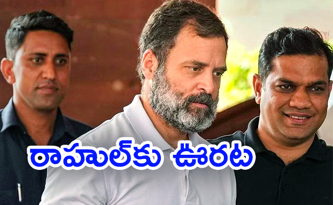 Rahul-Gandhi-Can-Get-Ordinary-Passport.jpg
