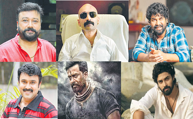 mollywood.jpg