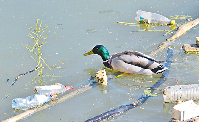 plastic.jpg