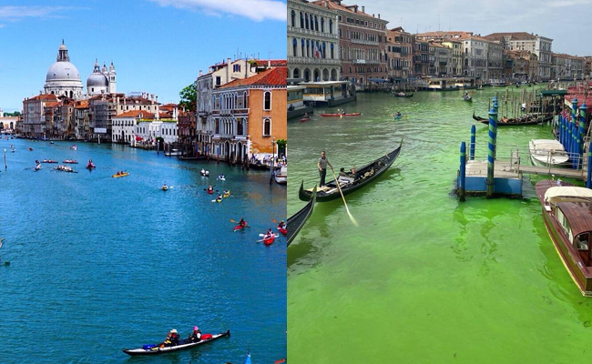 Grand-canal-Venice-viral-co.jpg