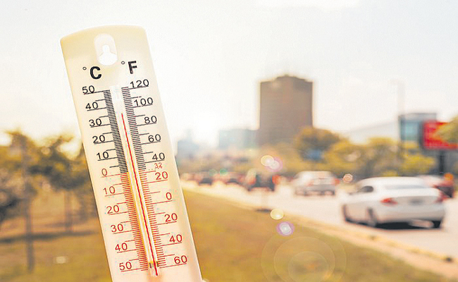 SUMMER.jpg