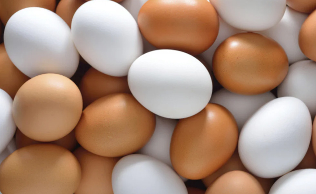 egg_innovation_awards.jpg