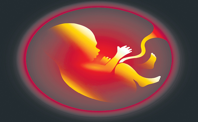 pregnant.jpg