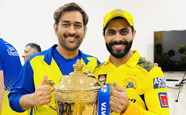 msd.jpg