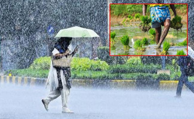 TS-Rains.jpg