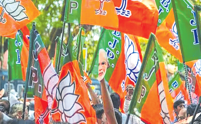BJP-FLAGS-12.jpg