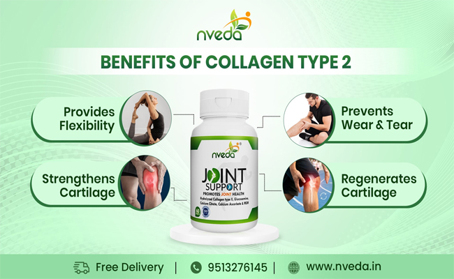 Collagen_20650_20x_20400.jpg