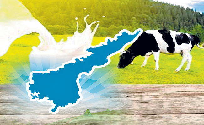 MILK-IN-AP-01.jpg