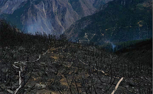 Mountain-Collapses-In-China.jpg