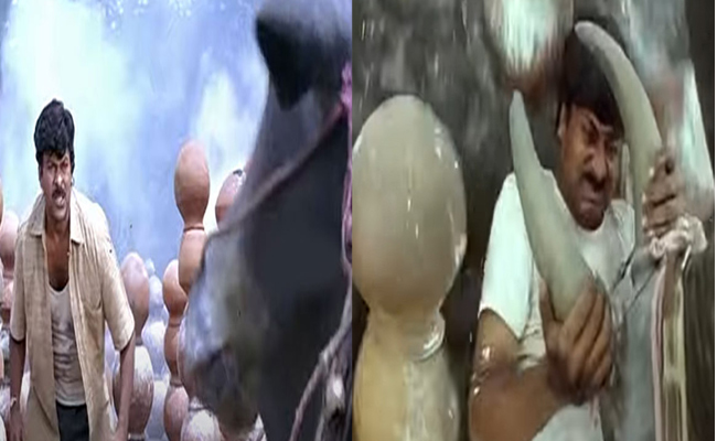 chiranjeevi.jpg