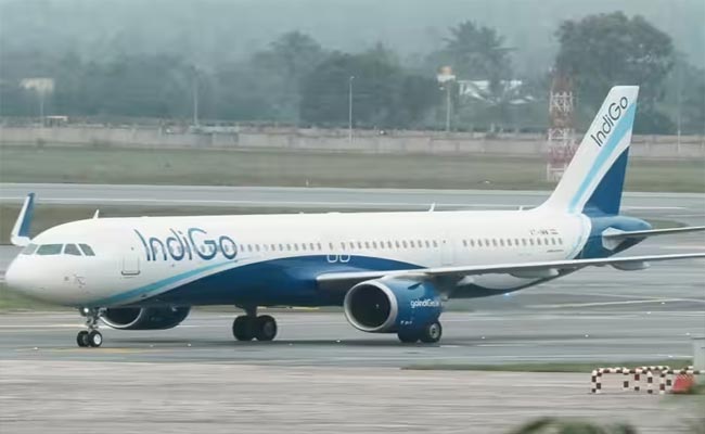 indigo.jpg