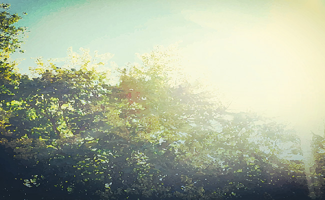 iStock-1145676088.jpg
