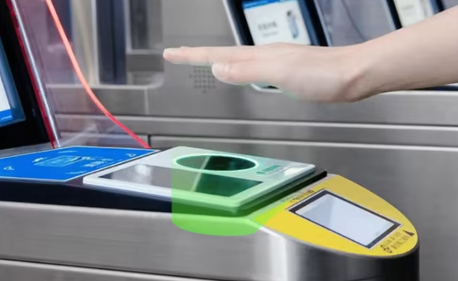 palm_payment.jpg