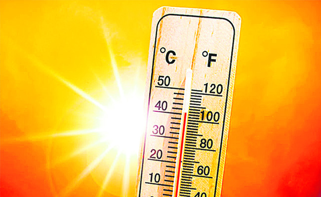 temp.jpg