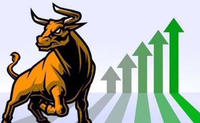 bull.jpg