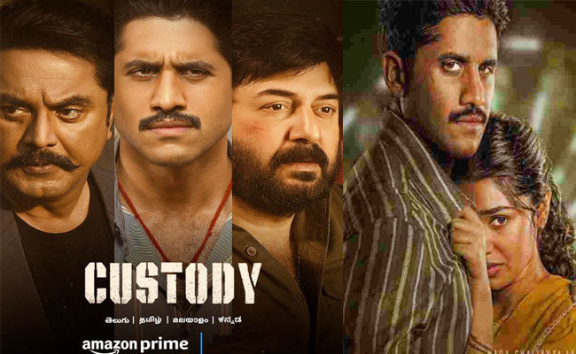 custody-ott.jpg