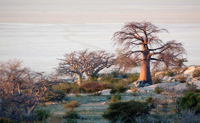 8._20Makgadikgadi_20Pans.jpg 9