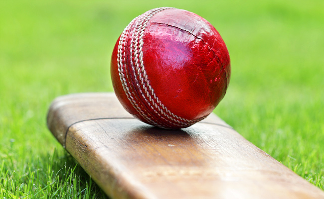 cricket.jpg