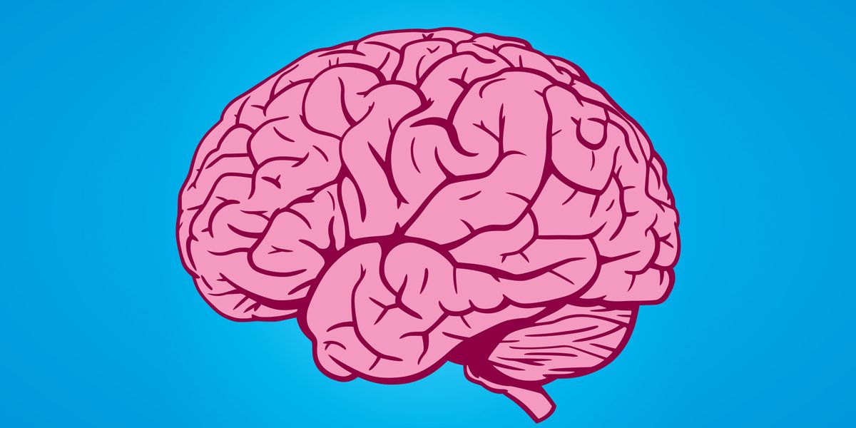 multilevel-brain-atlases-provide-tools-for-better-diagnosis-l.jpg