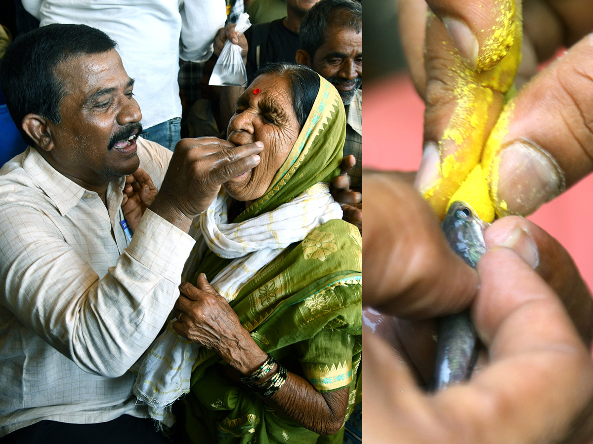 Fish-_20Medicine_20-Distribution-_20Nampally_20-Exhibition-_20Grounds-_20Photos-1.jpg 1