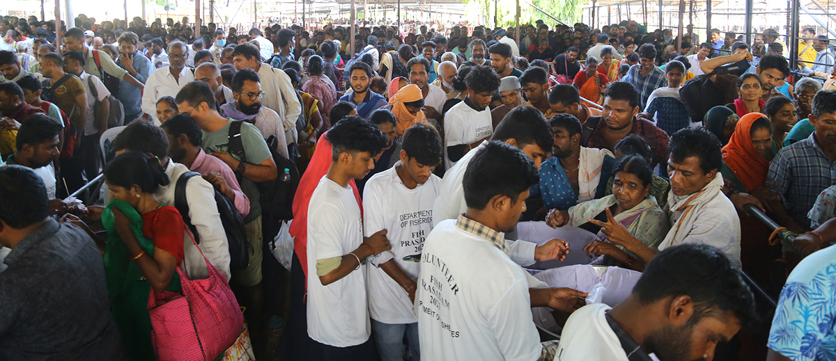 Fish-_20Medicine_20-Distribution-_20Nampally_20-Exhibition-_20Grounds-_20Photos-14.jpg 13