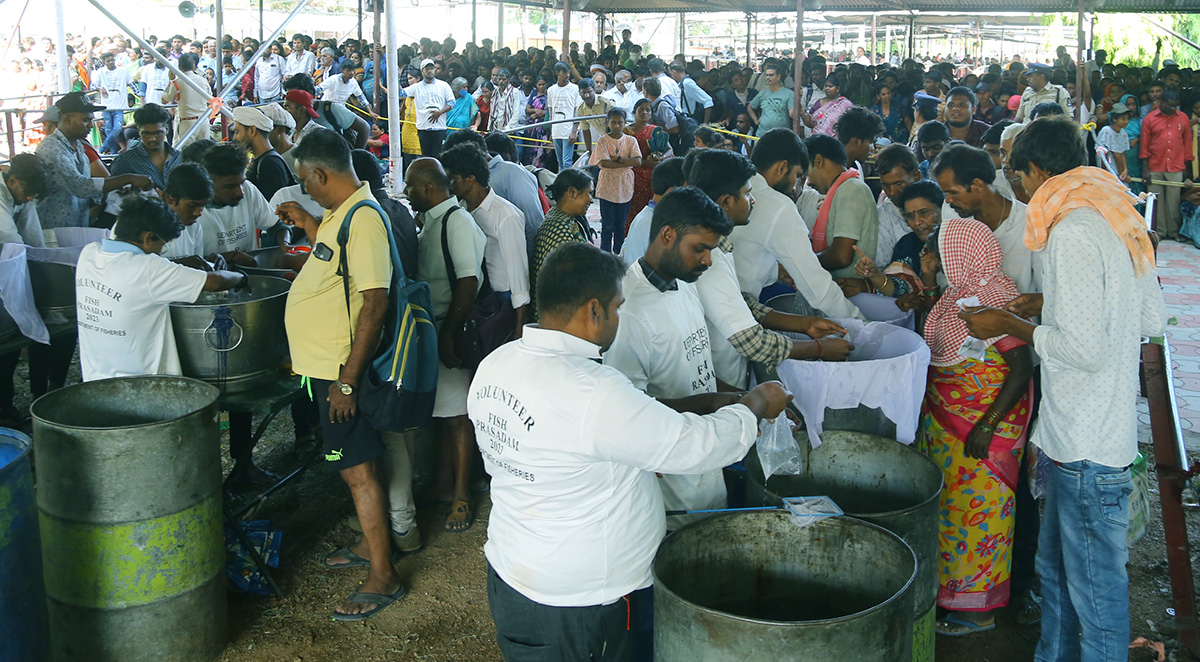 Fish-_20Medicine_20-Distribution-_20Nampally_20-Exhibition-_20Grounds-_20Photos-34.jpg 32