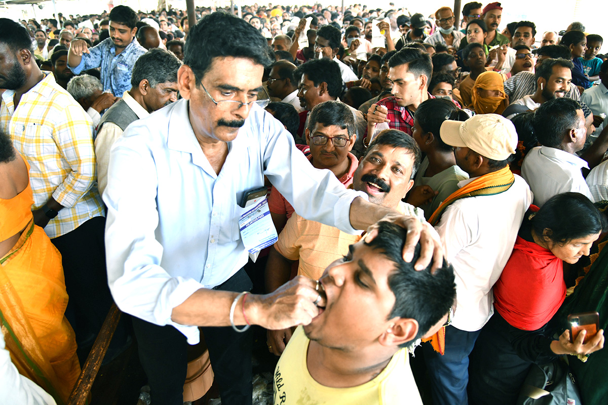 Fish-_20Medicine_20-Distribution-_20Nampally_20-Exhibition-_20Grounds-_20Photos-36.jpg 34