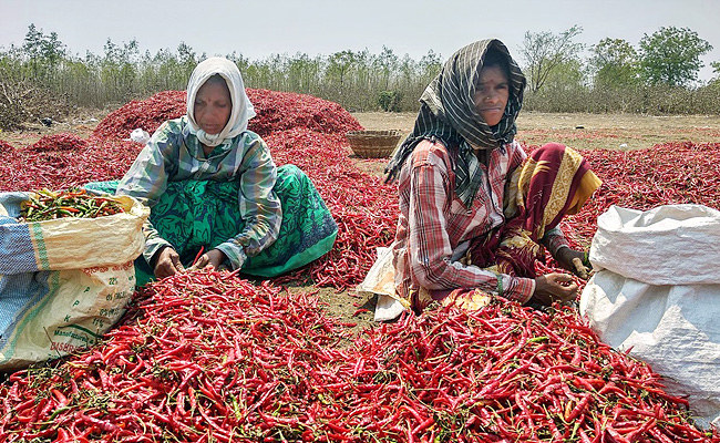 MIRCHI-Guntur.jpg