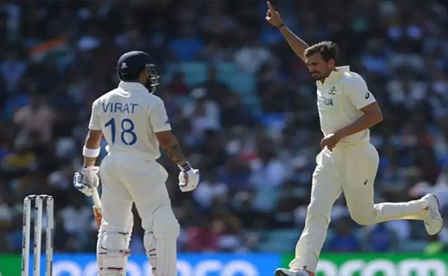 starc.jpg