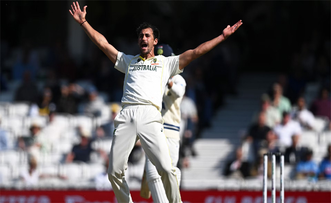 starc_0.jpg