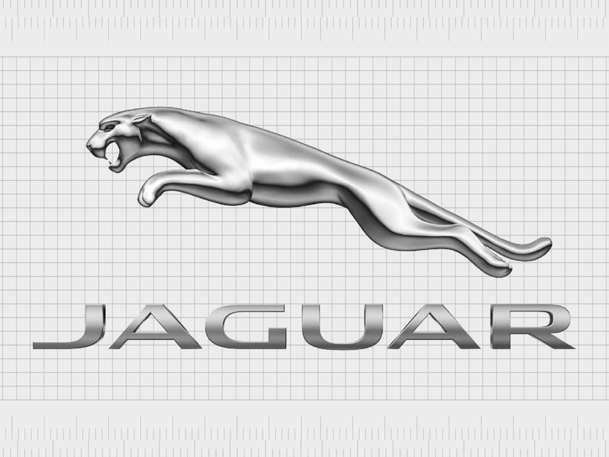 jaguar.jpg 14