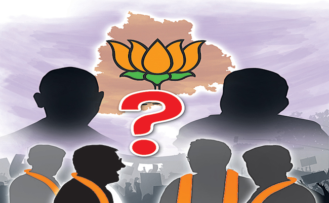 BJP-CONTRAVERCY.jpg