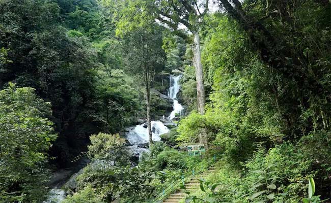 coorg.jpg 2