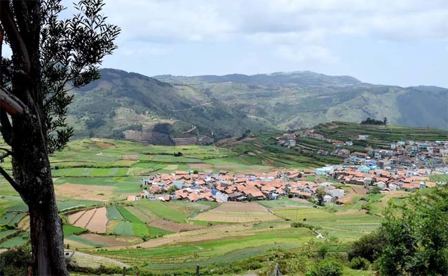 kodaikanal.jpg 3