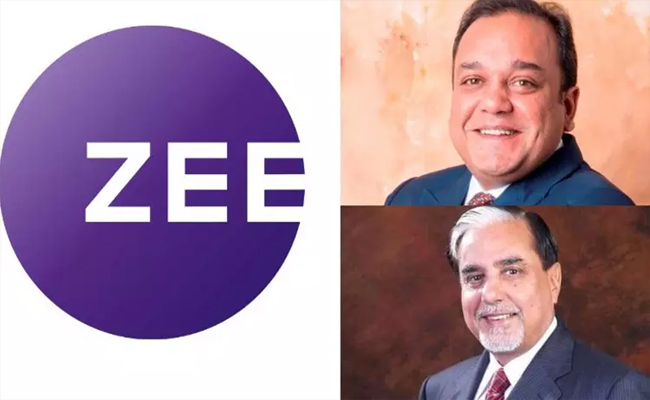 zee.jpg