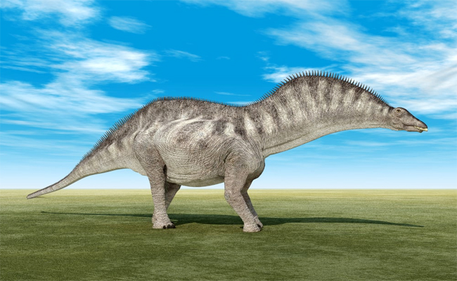 1._20Most_20Bizarre_20Dinosaurs_20_E2_80_93_20Amargasaurus.jpg 2