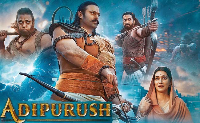 6_0.jpg