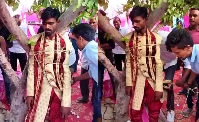 pratapgarh-groom.jpg